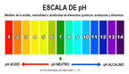 Generador de espuma activa 24l para limpieza de superficies